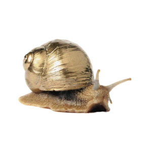 pauahtun scribes kunsthaus aarau gold snail
