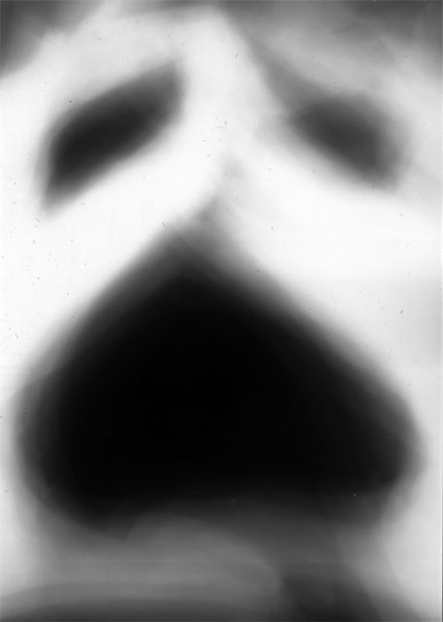 Photogram rayograph black and white ghost